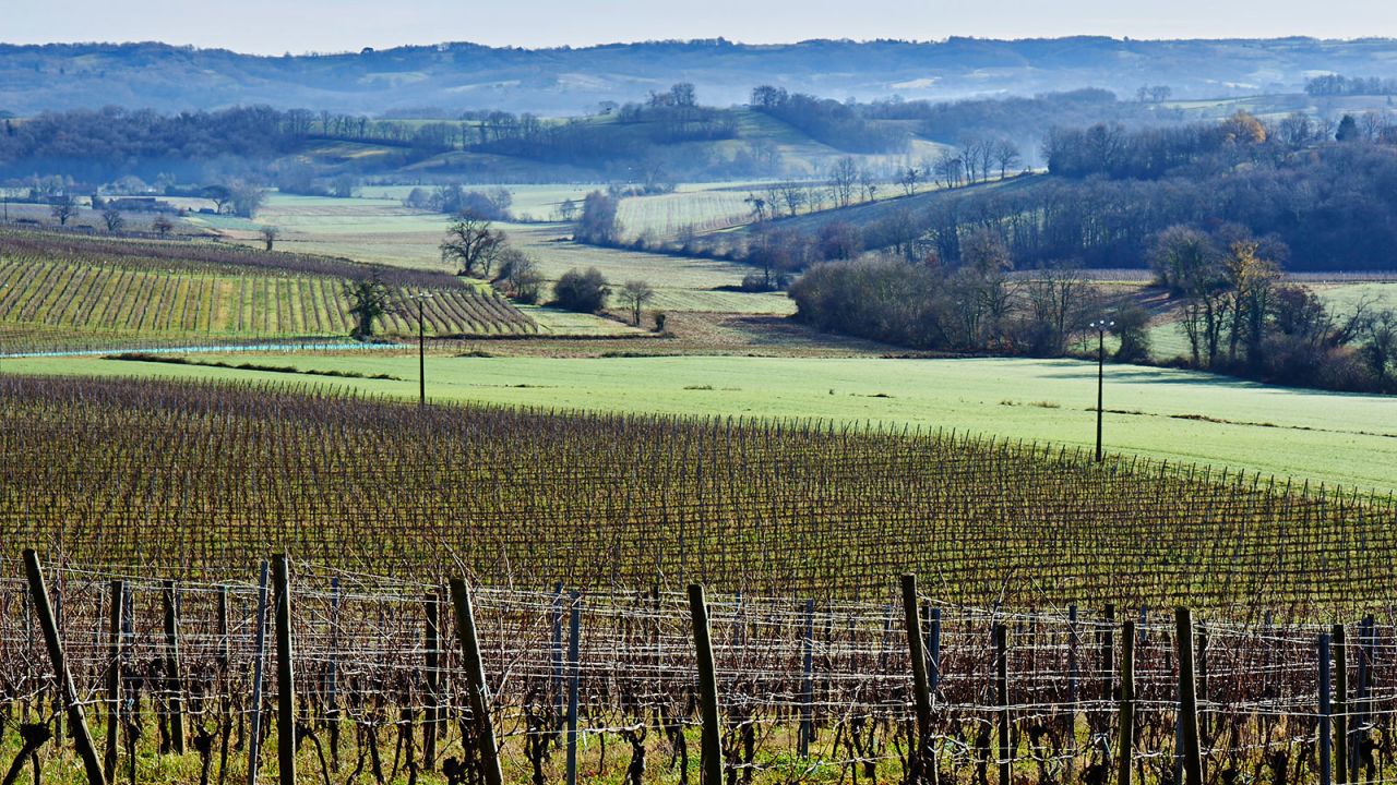 With woodland and rolling hills, Gascony has a landscape to beat Bourdeaux. Some travelers are finding its wine and cuisine a match, as well.