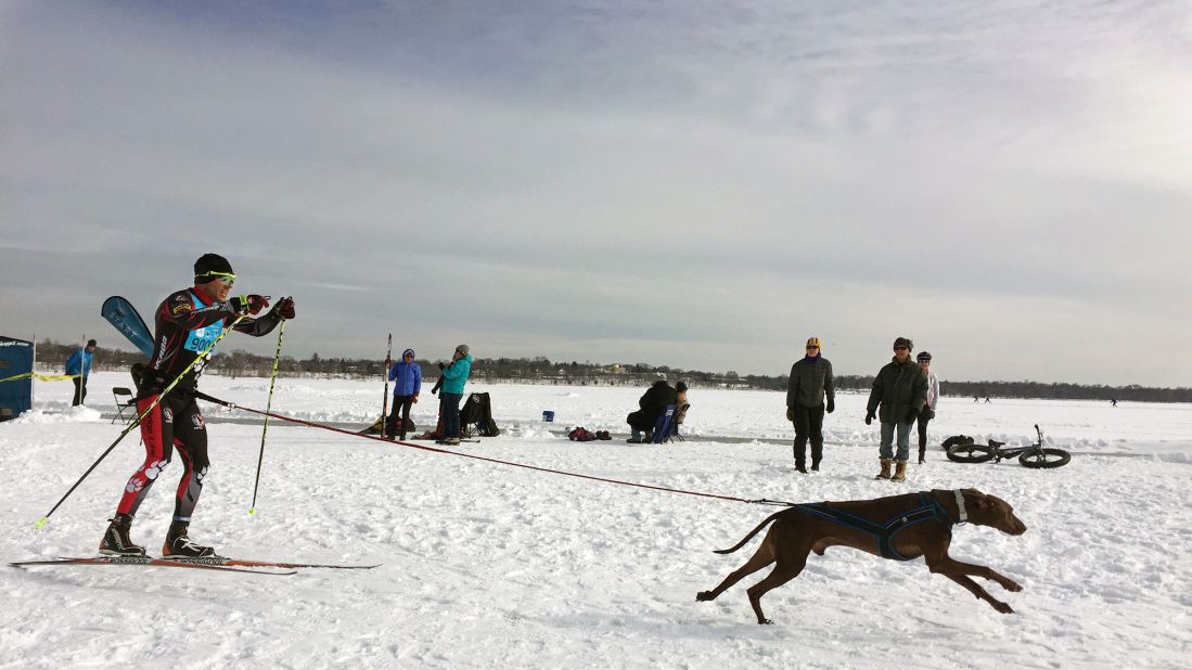 Cross country skiing + dog = skijoring, with love CNN