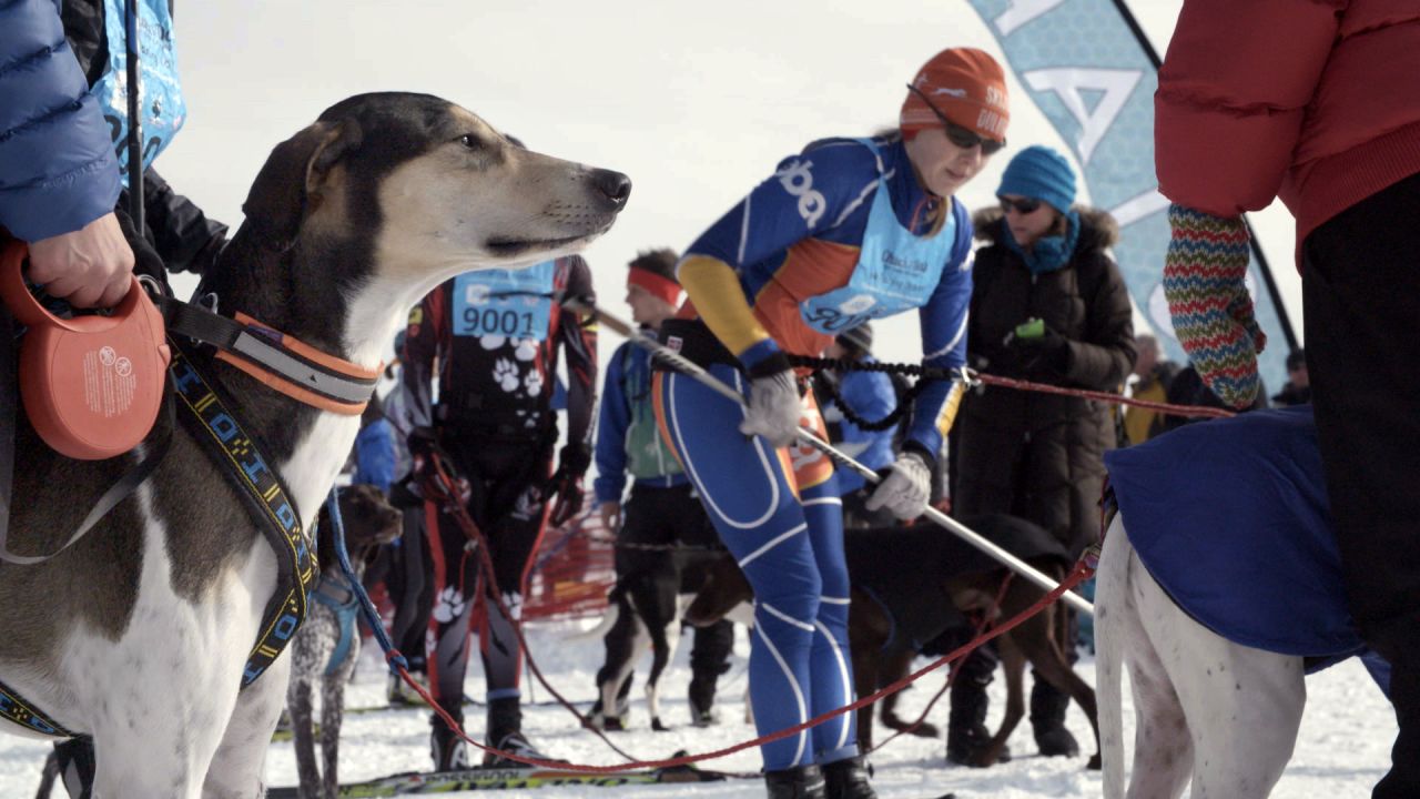 One of the most rewarding aspects of this international sport is the relationship between human and dog.