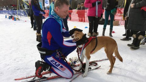 "Any dog that pulls at its leash can be a skijoring dog," provided it's big enough to pull you, said Dallas Johnson, a skijorer of six years whose four-legged companion, Comet.