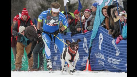 There are official skijoring competitions in the U.S., Canada, Europe and elsewhere.