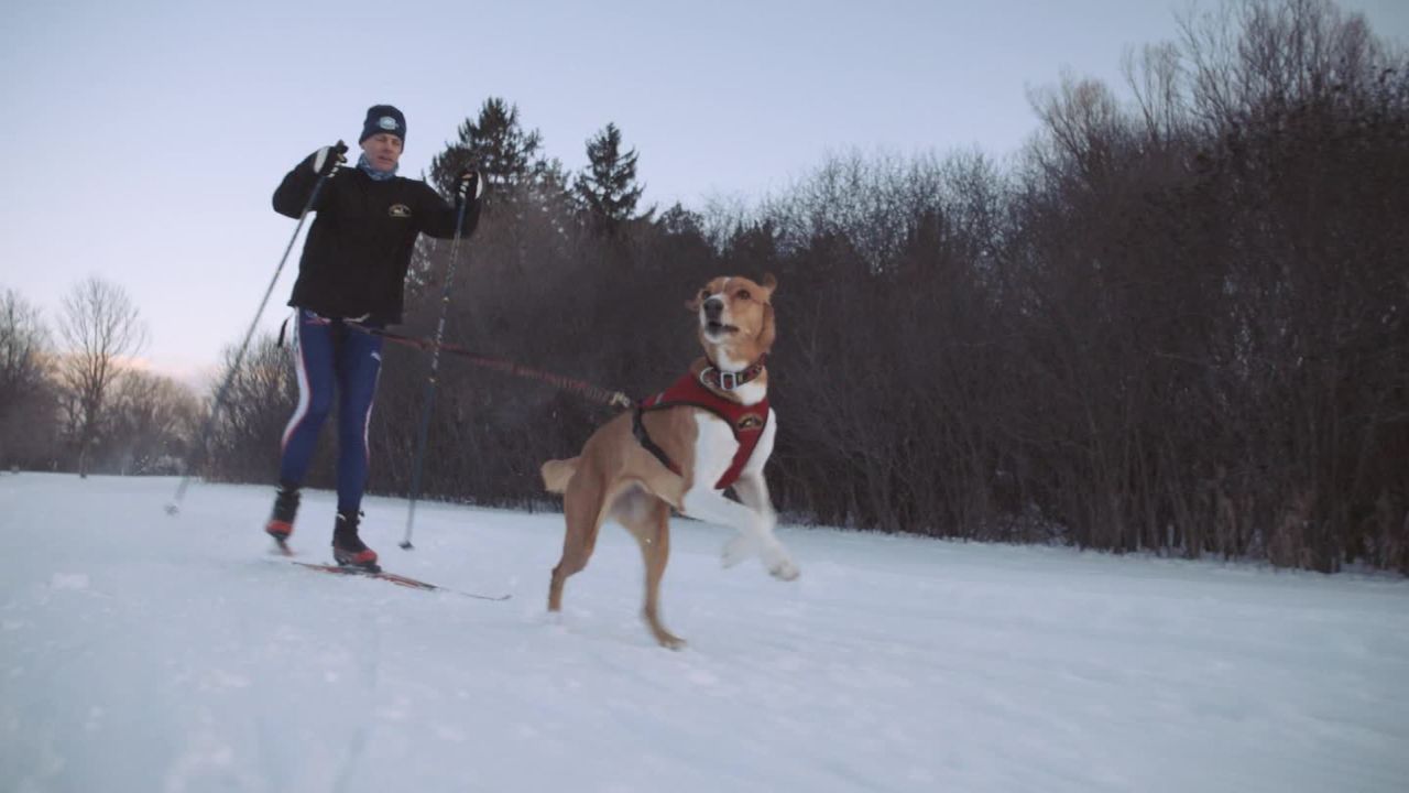 orig cnn fit nation skijoring_00003002.jpg