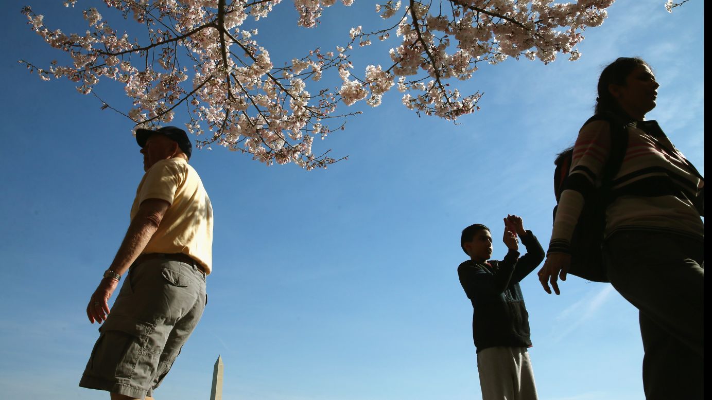 The festival marks the 1912 gift from Tokyo of 3,000 cherry trees to Washington.
