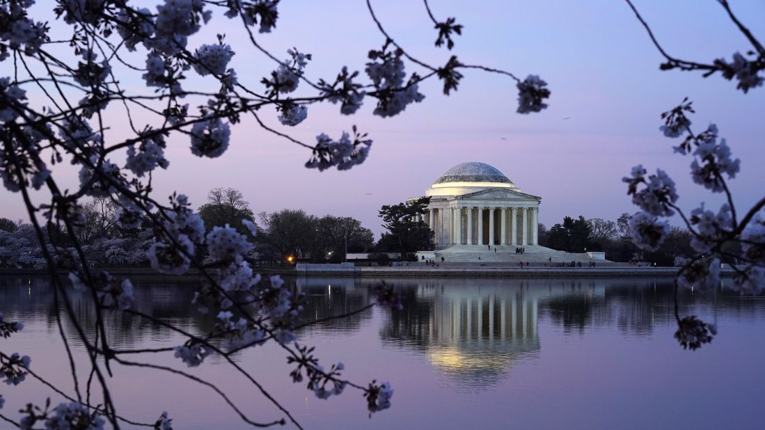 The Jefferson Memorial framed by cherry blossoms is one of the classic photographs captured by visitors.