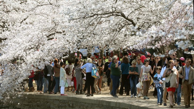 The 2018 National Cherry Blossom Festival runs from March 17 through April 15 in Washington. Here are some photos from years past. 