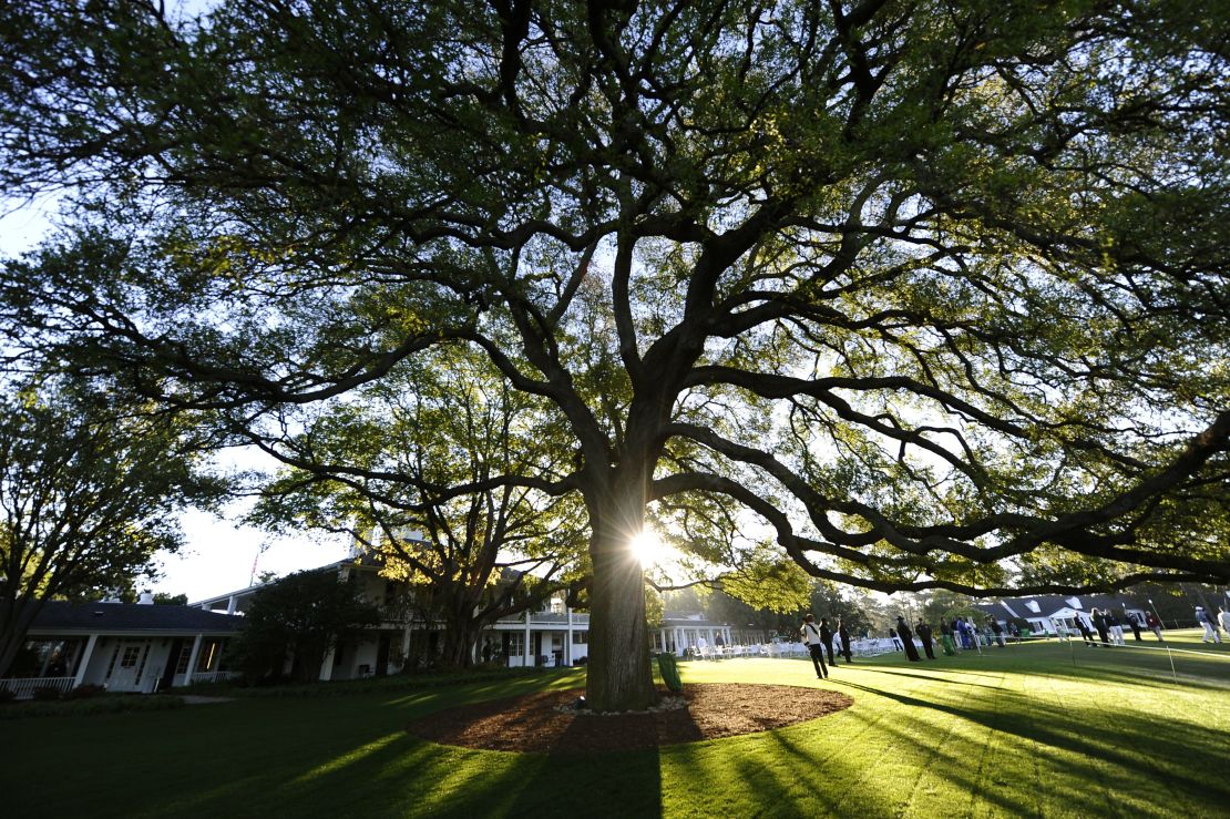 Augusta's famous old oak tree is  a popular meeting spot in front of the clubhouse.
