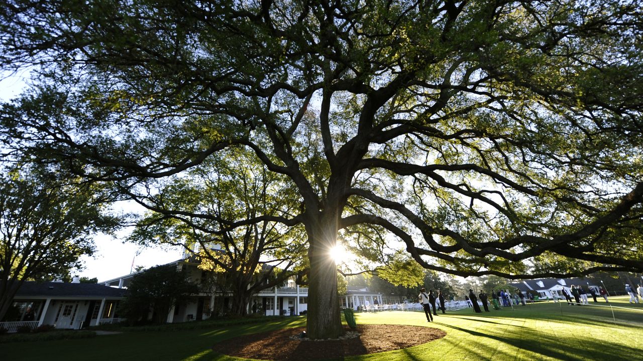 Augusta's famous old oak tree is  a popular meeting spot in front of the clubhouse.