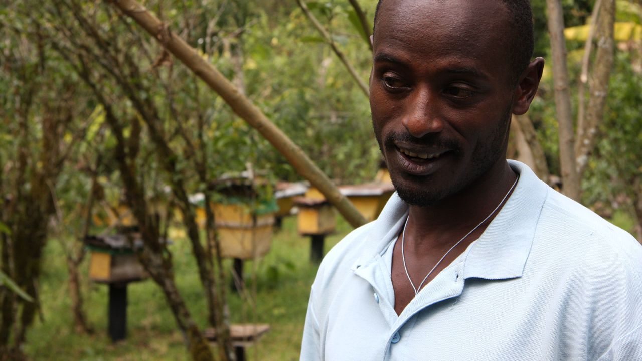 "I would never move to the city and leave this behind," says local beekeeper Mirutse Habtemariam.