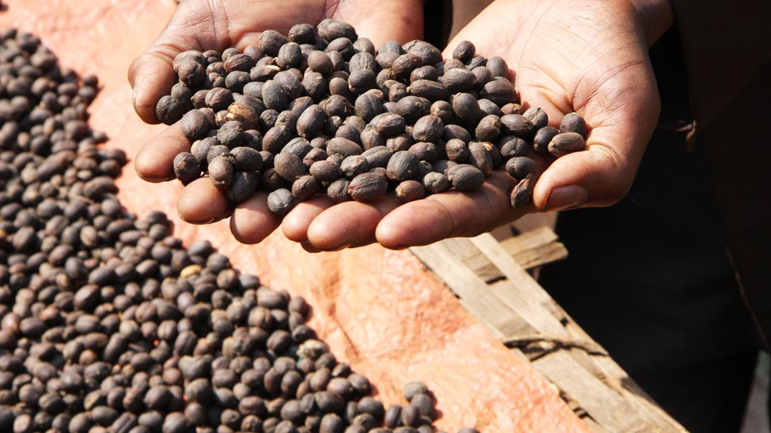 A local coffee farmer cups sundried coffee beans. Slow growing conditions in the region make for denser, more flavorful coffee beans. 