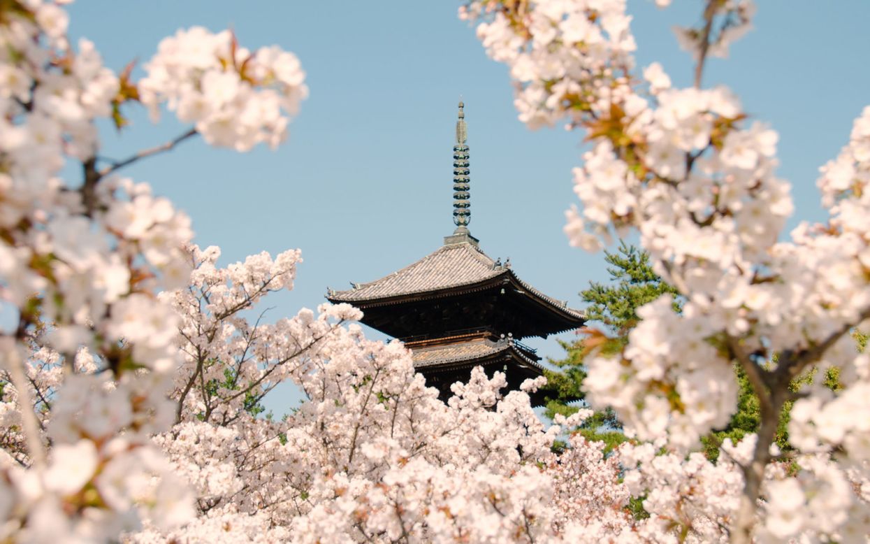 A number of buildings in this temple complex date to the 17th century -- the most scenic being a five-story pagoda surrounded by dwarf cherry trees.