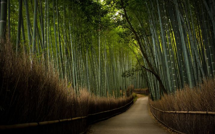 On the outskirts of Kyoto,Tenryu-ji Temple has been hit by eight separate fires before being rebuilt most recently in 1864. Most tourists visit to walk through its famed <a href="index.php?page=&url=http%3A%2F%2Fedition.cnn.com%2F2014%2F08%2F11%2Ftravel%2Fsagano-bamboo-forest%2F">Sagano Bamboo Forest</a>.  