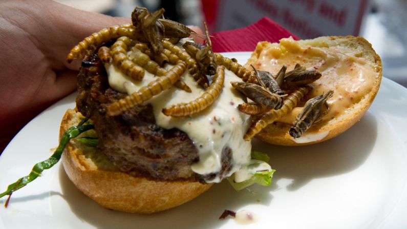 "Excuse me. There seem to be bugs on my burger."<br />"I cannot see them."<br />"No, really, there are about 12 or 13 of them. There, on top of the cheese."<br />"Are you calling me a liar? Are you calling my wife, who made this burger, a dirty woman?"<br />Without experiences like this, what stories would we have to tell when we get home? 