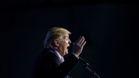 US Republican presidential hopeful Donald Trump addresses a rally on March 14, 2016 in Vienna Center, Ohio.
