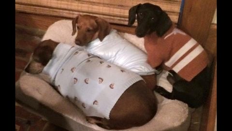 Vincent is joined by his other foster sibilings at Melissa Anderson's house.