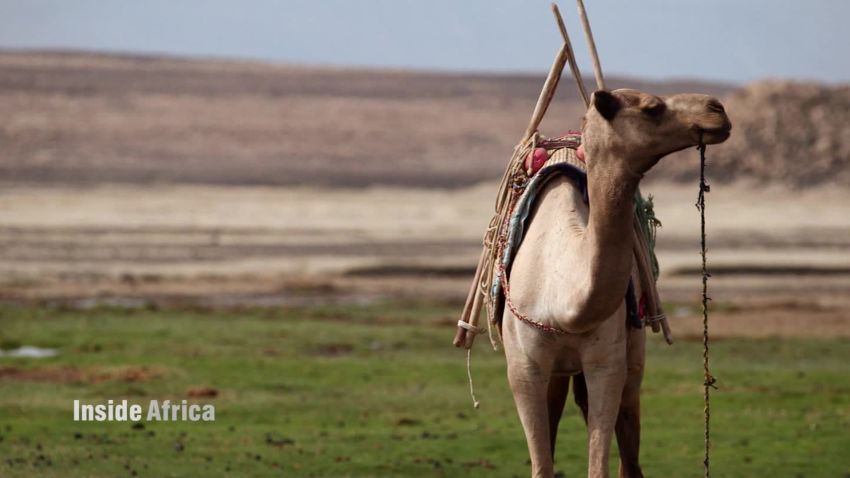 inside africa the afar of djibouti spc b_00061302.jpg