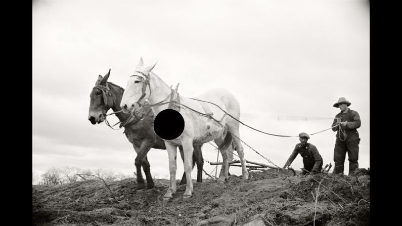 Fields in North Carolina are prepared for spring planting in 1936.