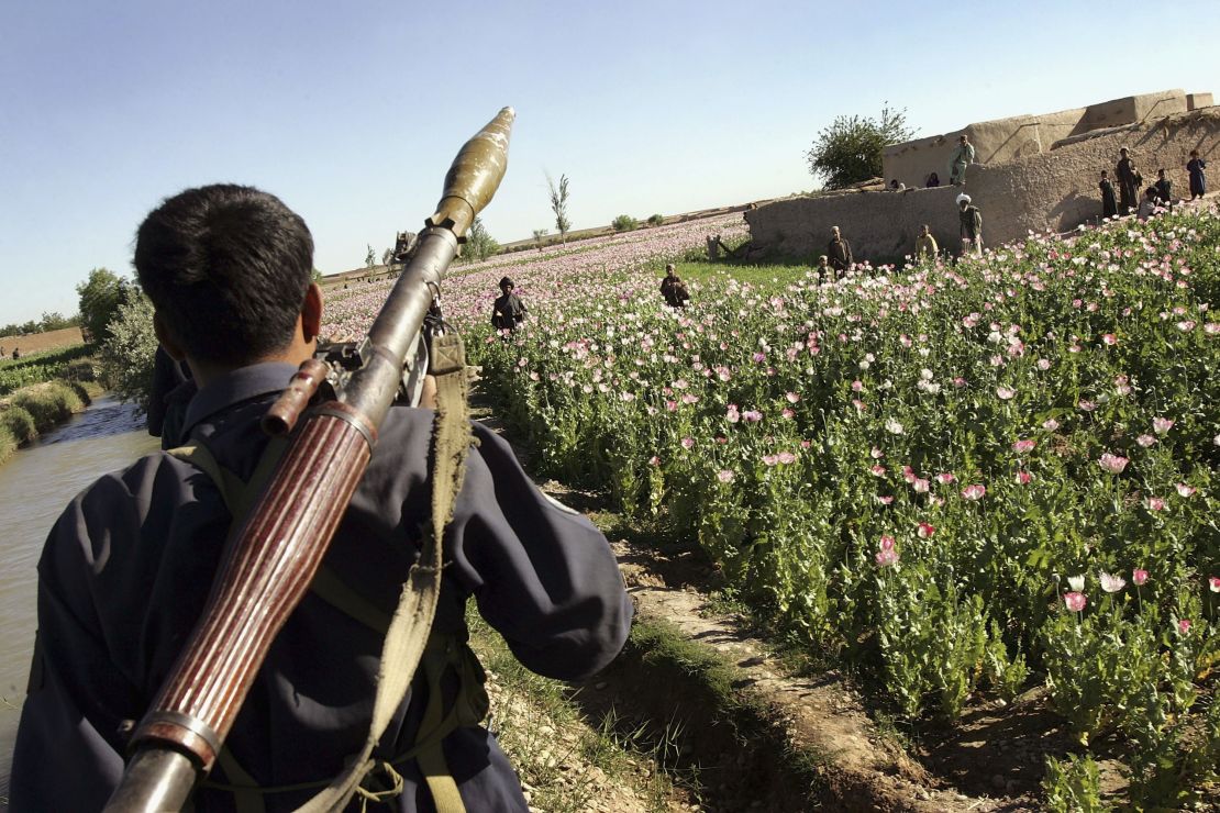An Afghan policeman patrols a poppy field. 