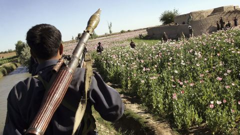 An Afghan policeman patrols a poppy field.