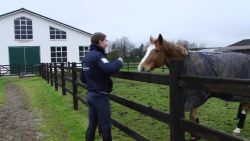 spc cnn equestrian april part one_00023705.jpg