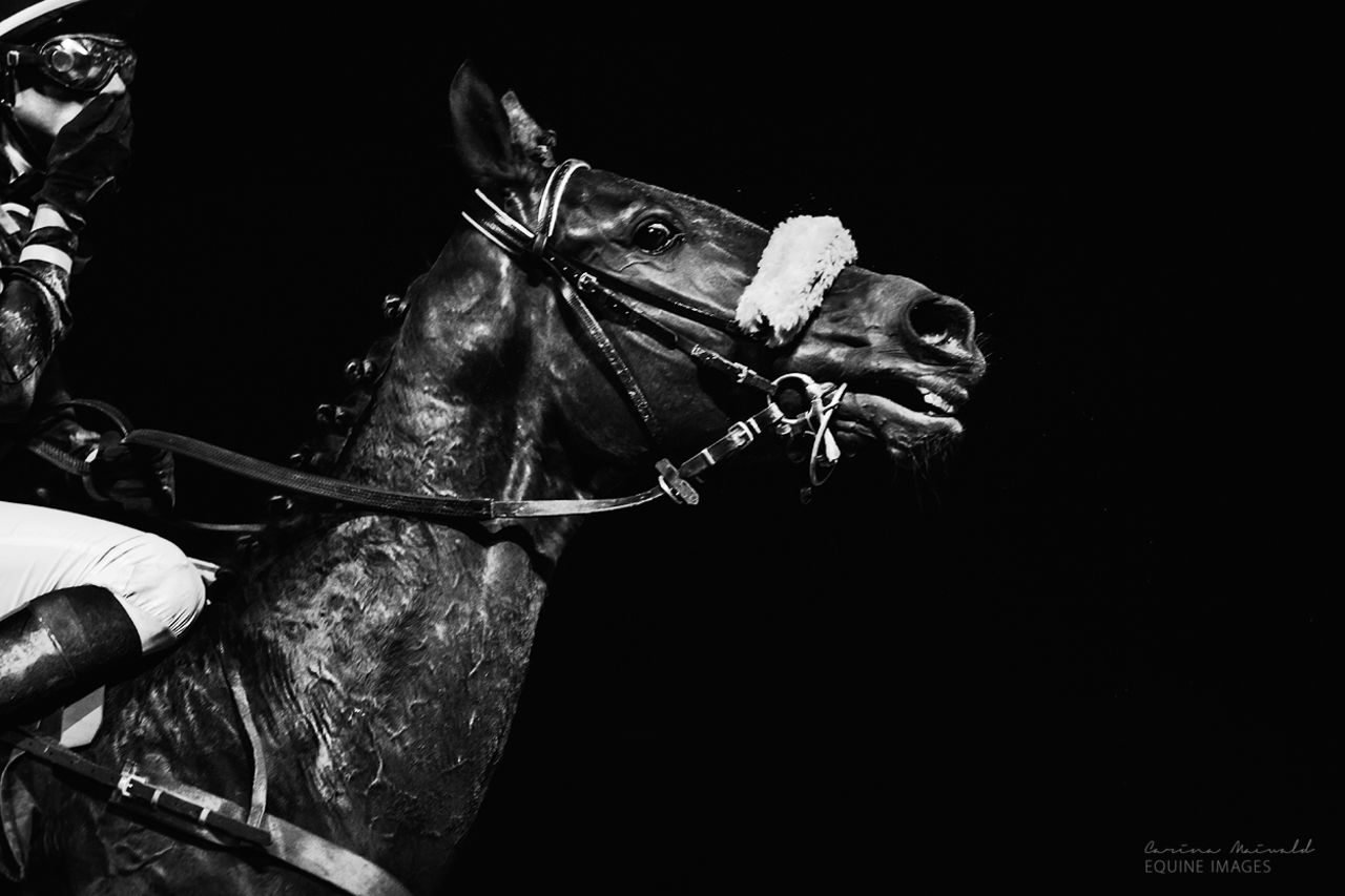 Maiwald has built up a large following on social media and has been named one of the top 10 equine photographers of the world, according to her <a href="https://www.facebook.com/CarinaMaiwaldFotografie/" target="_blank" target="_blank">Facebook</a> profile. 