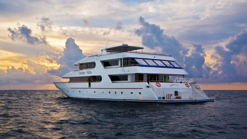 Liveaboard diving experiences allow easy access to ocean exploration. Among the best luxury options is the 125-foot Carpe Vita, which sails around the Maldives. 