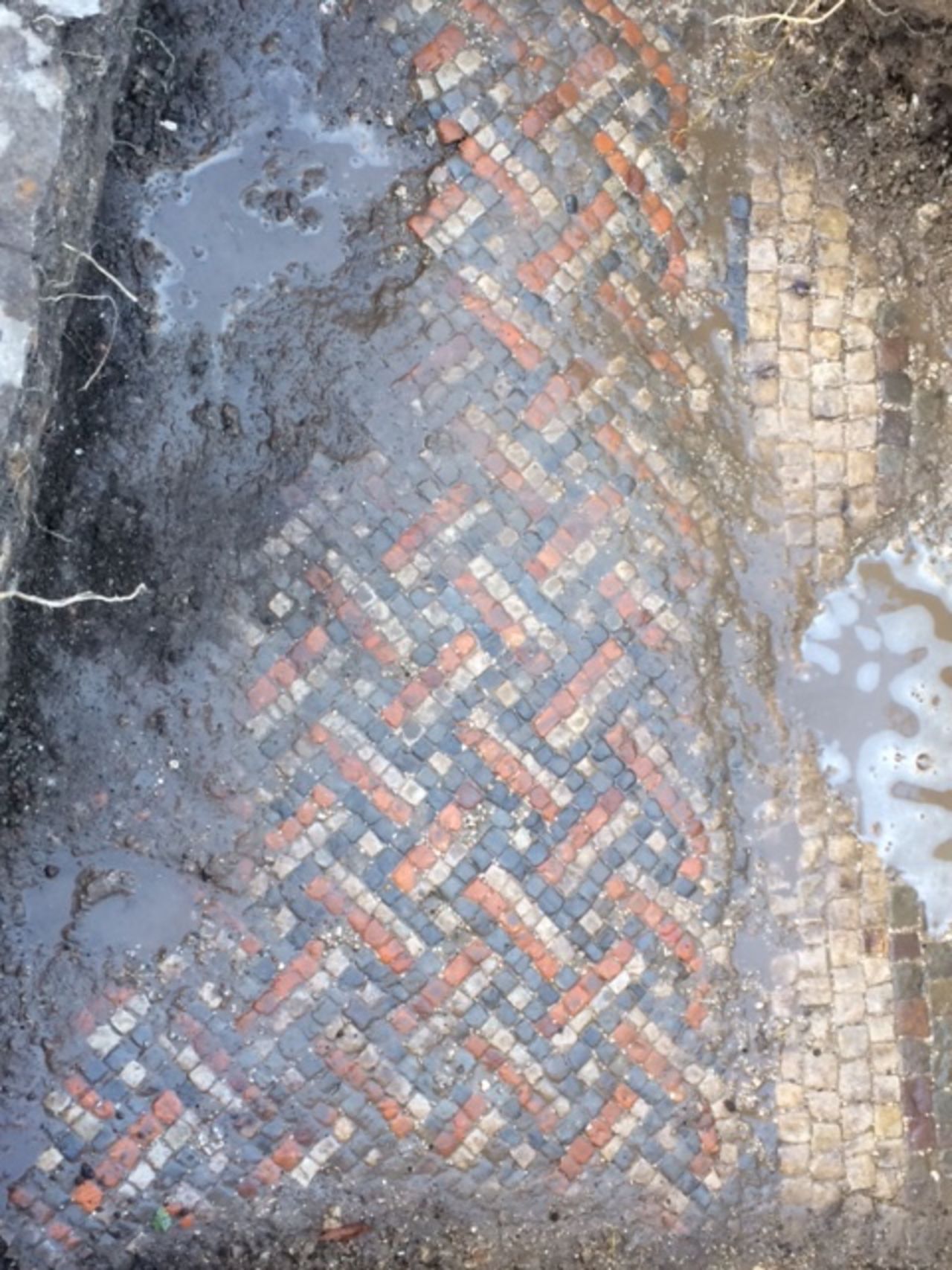 A grand Roman villa complex, undisturbed for more than 1,500 years, has been discovered on the grounds of a UK farmhouse after earthworks uncovered a well-preserved mosaic.