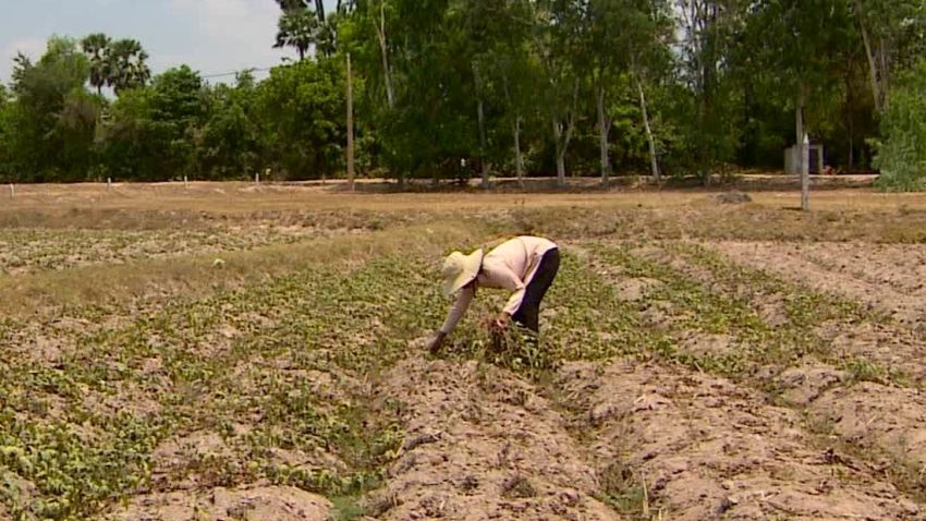 road to asean pkg cambodia farming_00001723.jpg