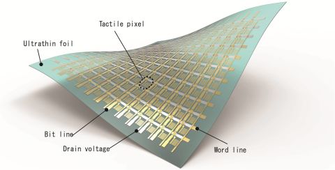 The design consists of organic sensors and transistors laid in a grid format onto an ultra-thin plastic substrate. 