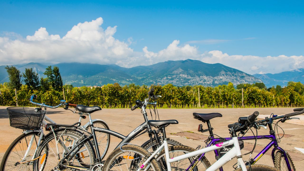 Here are eight day trips within easy reach of Milan. Grape-lovers will enjoy bike tours around the Franciacorta wine-making region, as well as the local refreshments.
