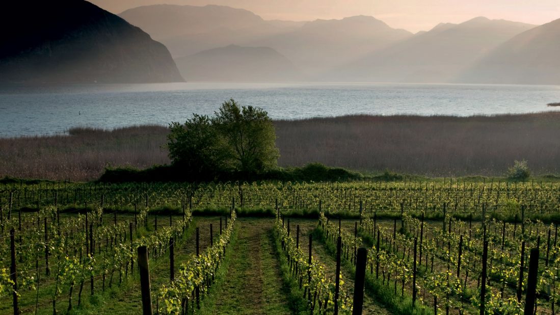 The Franciacorta region is famous for its sparkling "brut" wines, the Italian version of champagne. 