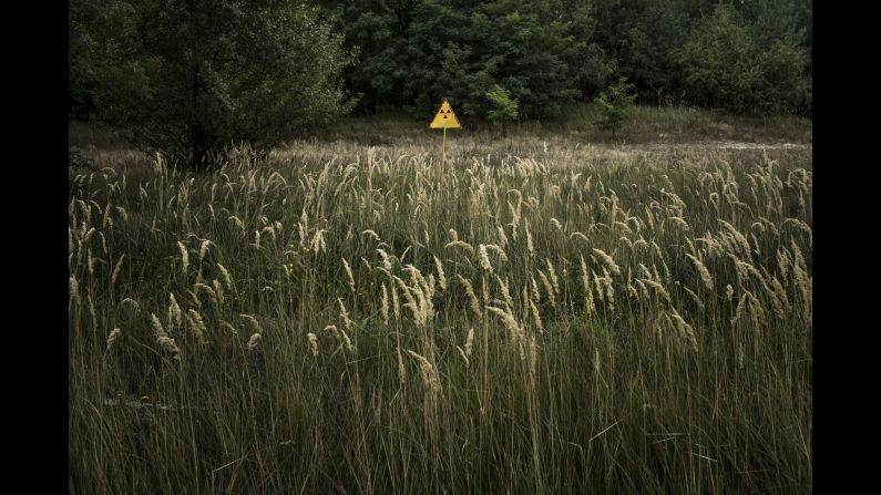 A radioactive field near the Chernobyl nuclear power plant.
