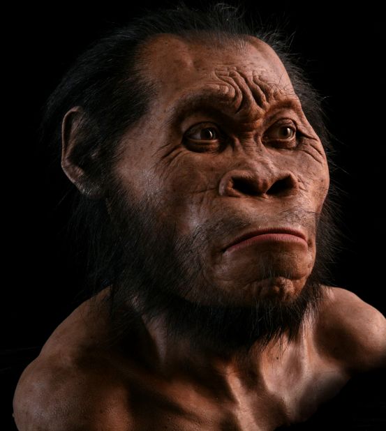This reconstruction of Homo naledi by paelo-artist John Anthony Gurche took 700 hours to complete and is made of silicone with acrylic eyes. Each gland and muscle is carefully crafted.<br />