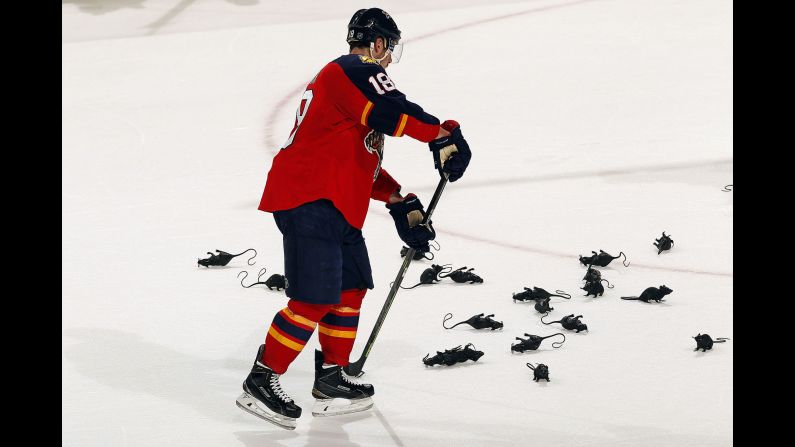 Reilly Smith of the Florida Panthers collects plastic victory rats after teammate Dmitry Kulikov scored an empty net goal against the New York Islanders in Game Two of the  2016 NHL Stanley Cup Playoffs at the BB&T Center in Sunrise, Florida, on April 15.