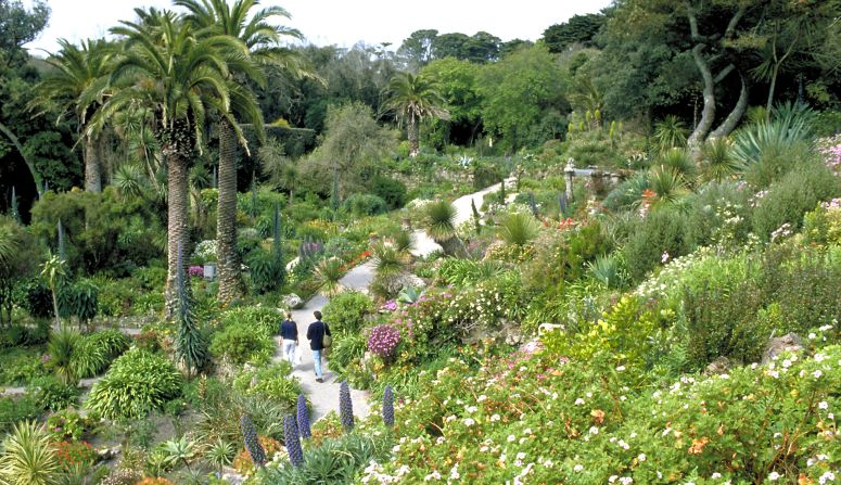 <a href="index.php?page=&url=http%3A%2F%2Fwww.tresco.co.uk%2Fenjoying%2Fabbey-garden%2F" target="_blank" target="_blank">Abbey Garden</a> is a tropical-style paradise with plant species from more than 80 countries -- from Brazil to South Africa to Australia. The wild garden experiment began when Augustus Smith moved to and became the owner of <a href="index.php?page=&url=http%3A%2F%2Fwww.tresco.co.uk%2Farriving%2Foverview%2F" target="_blank" target="_blank">Tresco</a>  Island, 28 miles off the coast of southwestern Cornwall in 1834. The garden has continued to expand with the help of Smith's descendants.