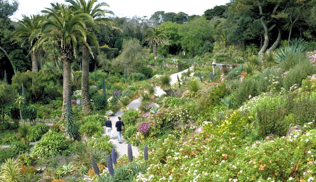 <a href="http://www.tresco.co.uk/enjoying/abbey-garden/" target="_blank" target="_blank">Abbey Garden</a> is a tropical-style paradise with plant species from more than 80 countries -- from Brazil to South Africa to Australia. The wild garden experiment began when Augustus Smith moved to and became the owner of <a href="http://www.tresco.co.uk/arriving/overview/" target="_blank" target="_blank">Tresco</a> Island, 28 miles off the coast of southwestern Cornwall in 1834. The garden has continued to expand with the help of Smith's descendants.
