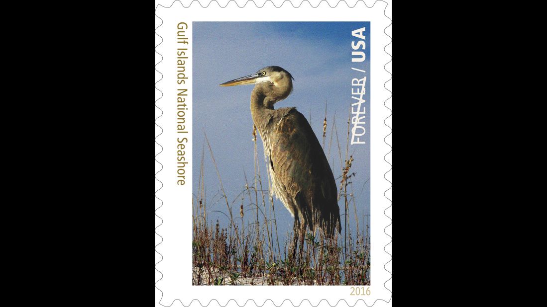 John Funderburk's photograph of a long-legged water bird with a wingspan that can exceed 6 feet is the stamp image for Gulf Islands National Seashore, which is in Florida and Mississippi. 