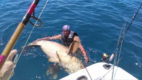400 pound fish caught with wrench pkg_00002609.jpg
