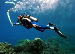  Wendy Craig-Duncan, a marine-biologist on Australia's Great Barrier Reef, took the torch underwater on its journey to Sydney in 2000.