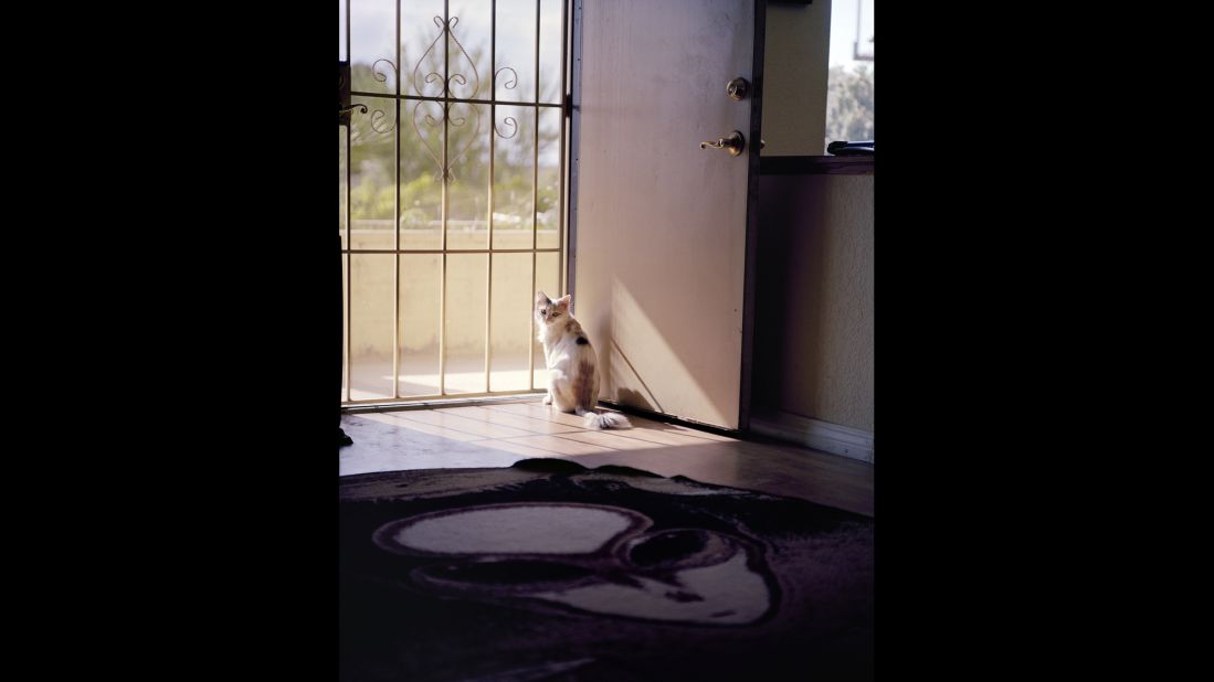 A cat sits near the window of George Knapp's home in Las Vegas. Knapp is a TV reporter whose 1989 interview with Bob Lazar changed UFO mythology. Lazar told Knapp he worked at a secret underground lab near Area 51.
