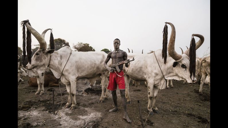 A Mundari man guards his precious Ankole-Watusi herd with a rifle. Photographer <a href="index.php?page=&url=http%3A%2F%2Fwww.tariqzaidi.com%2F" target="_blank" target="_blank">Tariq Zaidi</a> visited the Mundari tribe in South Sudan twice in 2016 to document the lives of these fiercely protective herdsmen who face war, rustlers and landmines as they care for their animals.