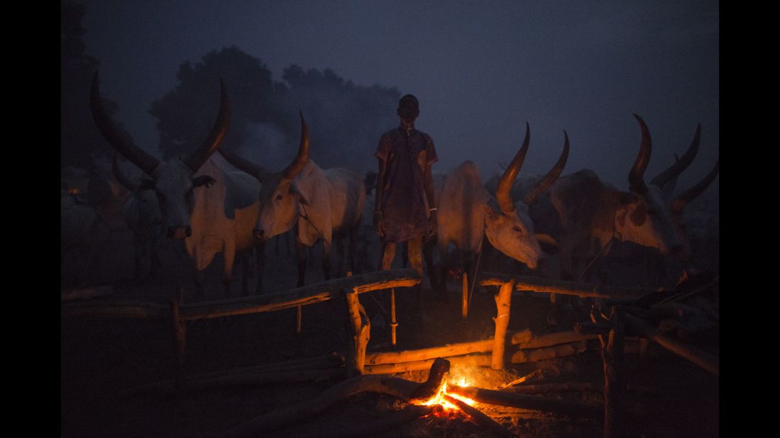 A young Mundari man keeps watch over the fire and his cows during the night. Cattle rustling is a serious and deadly issue in the area, as cattle is often used as a dowry in marriages, the price of which has increased in recent years.