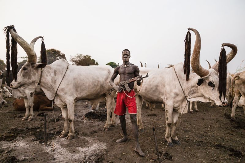 The Mundari The tribe dying for their cows