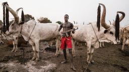 A Mundari man guards his precious Ankole-Watusi herd with a rifle.  About 350,000 cattle are stolen and more than 2000 people killed each year by cattle rustlers.