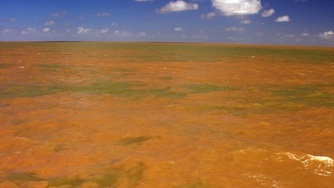 The Amazon River meets the Atlantic Ocean, creating a plume where freshwater and salt water mix.