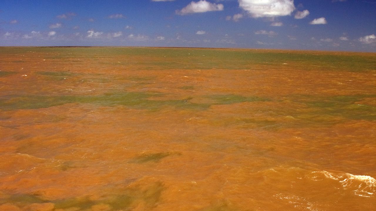 The Amazon River meets the Atlantic Ocean, creating a plume where freshwater and salt water mix. 