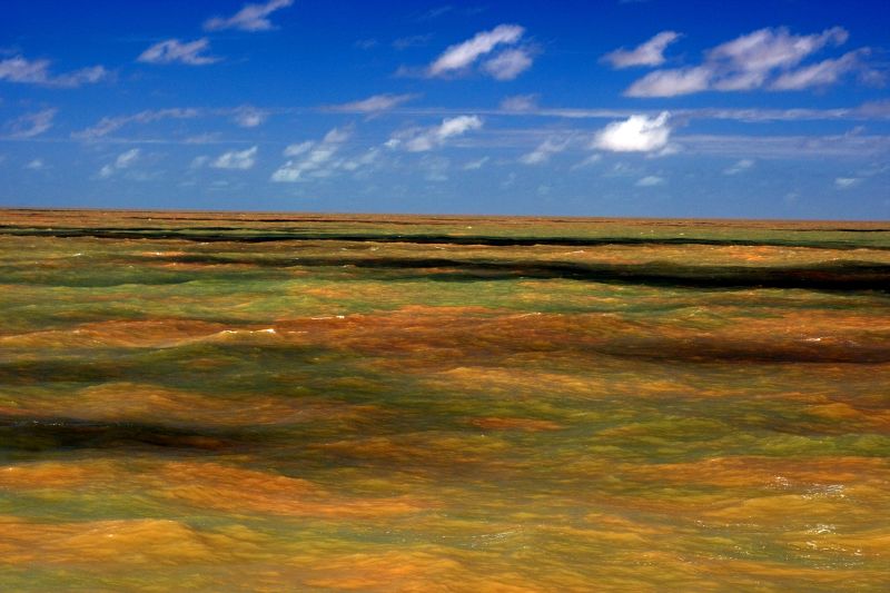 Amazon River: Massive Coral Reef Discovered | CNN