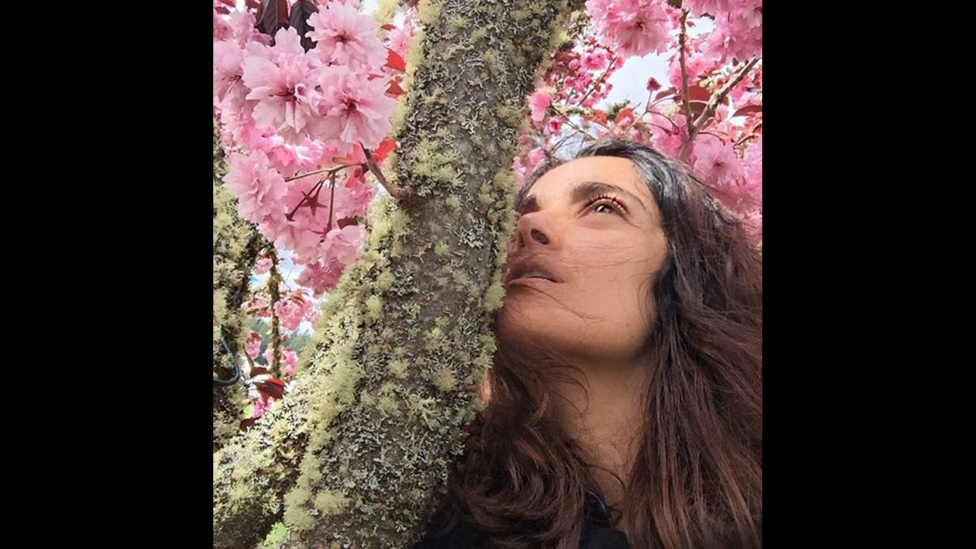 Actress Salma Hayek <a href="https://www.instagram.com/p/BEWQ8yosFs0/" target="_blank" target="_blank">gets close to a tree</a> on Monday, April 18.