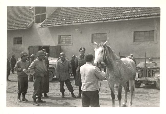 A horse among those captured by Nazis is inspected by American Colonel Hank Reed at the stables in Hostau at the end of April 1945.