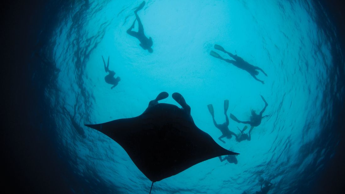 For diving, the top billing in the Maldives is mingling with whale sharks and mantas.