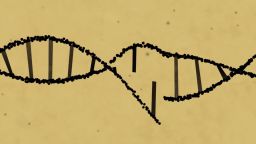 CRISPR Cas9 explainer natpkg_00010203.jpg